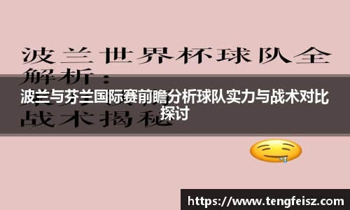 波兰与芬兰国际赛前瞻分析球队实力与战术对比探讨