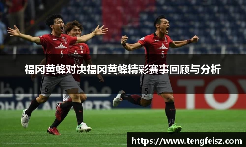 福冈黄蜂对决福冈黄蜂精彩赛事回顾与分析