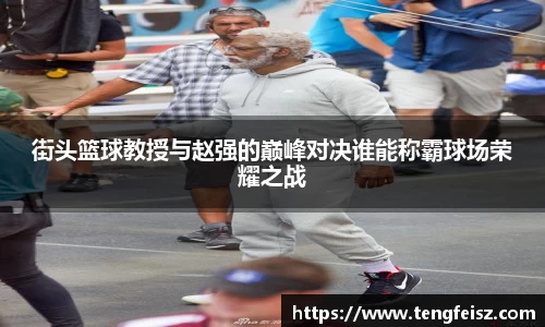 街头篮球教授与赵强的巅峰对决谁能称霸球场荣耀之战