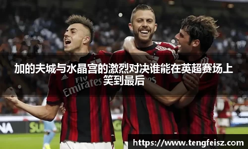 加的夫城与水晶宫的激烈对决谁能在英超赛场上笑到最后