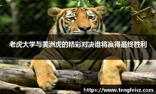 老虎大学与美洲虎的精彩对决谁将赢得最终胜利