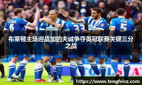 布莱顿主场迎战加的夫诚争夺英冠联赛关键三分之战