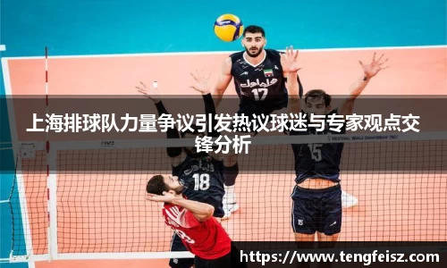上海排球队力量争议引发热议球迷与专家观点交锋分析