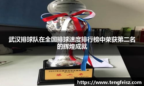 武汉排球队在全国排球速度排行榜中荣获第二名的辉煌成就