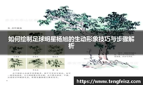 如何绘制足球明星杨旭的生动形象技巧与步骤解析